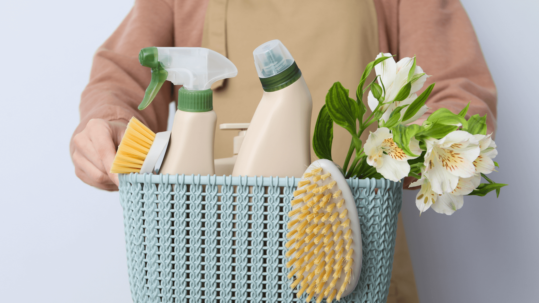 Clean Means Professional